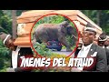 😂 Los MEJORES MEMES del ATAUD ⚰️🎵 (Nueva Recopilación) 2021 #2