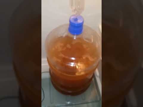 Cerveja Artesanal 'Maturaçao'