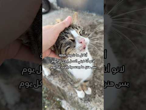 وما ارسلناك إلا رحمة للعالمين تذكير انو الرحمة مو خاصة بالبشر دبي الامارات ابو فله تصويري 