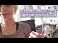 VLOG: Записалась к врачам / Разговор с Учителем / Семейный Влог