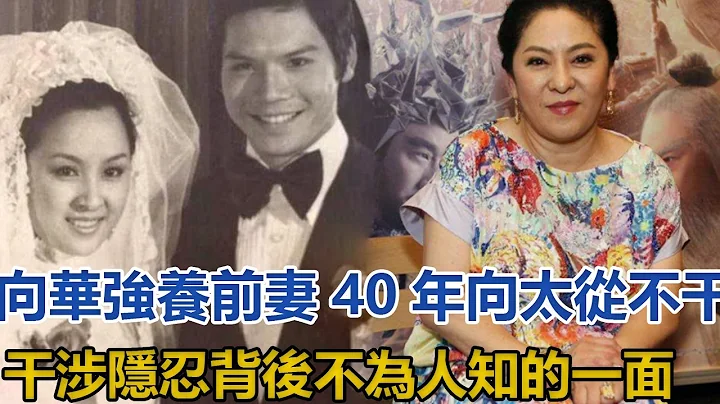 向華強前妻近況！養前妻40年，向太陳嵐從不干涉，隱忍背後不為人知的一面，丁佩發文揭露其中真相#向華強#向太#向佐#郭碧婷#丁佩 - 天天要聞