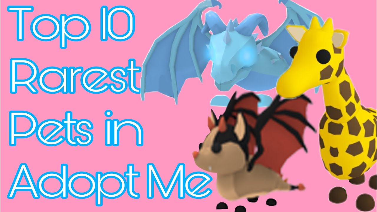 Rare pets. Adopt me Top 10 rarest vehicles. Adopt me Strollers. Dragonster adopt m. Catch 3 rare Pets in sunsed Shores.