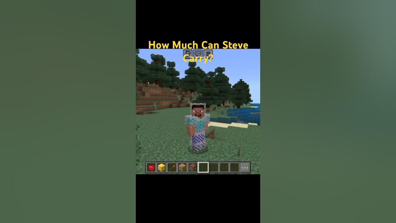 How Much can Steve carry YouTube