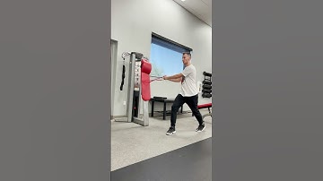 Split Stance Band Rotations