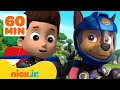 Paw patrols chase  ryder have actionpacked adventures  1 hour compilation  nick jr