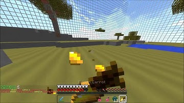 Kohi 1v1 「」Winnerizor