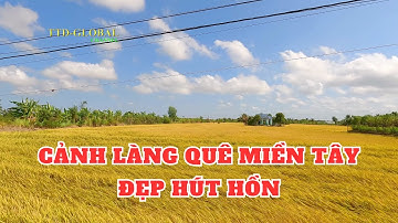 Khám phá xã Tân Phước Huyện Gò Công Đông Tiền Giang