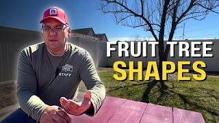 SEASON 2 Apple Pruning: Understanding Fruit Tree Shapes, Structure and Strategy
