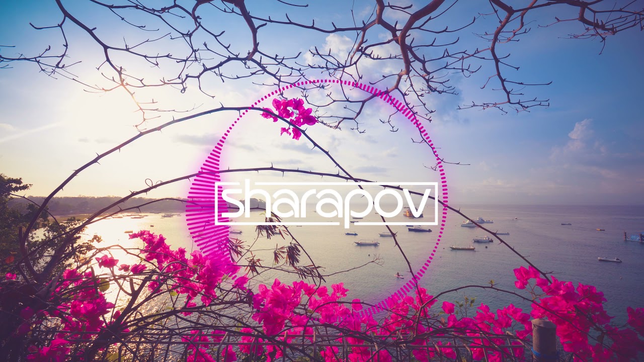 Guarda Elegant Ape - Falling Down (Original Mix) su YouTube Guarda Elegant Ape - Falling Down (Original Mix) su YouTube