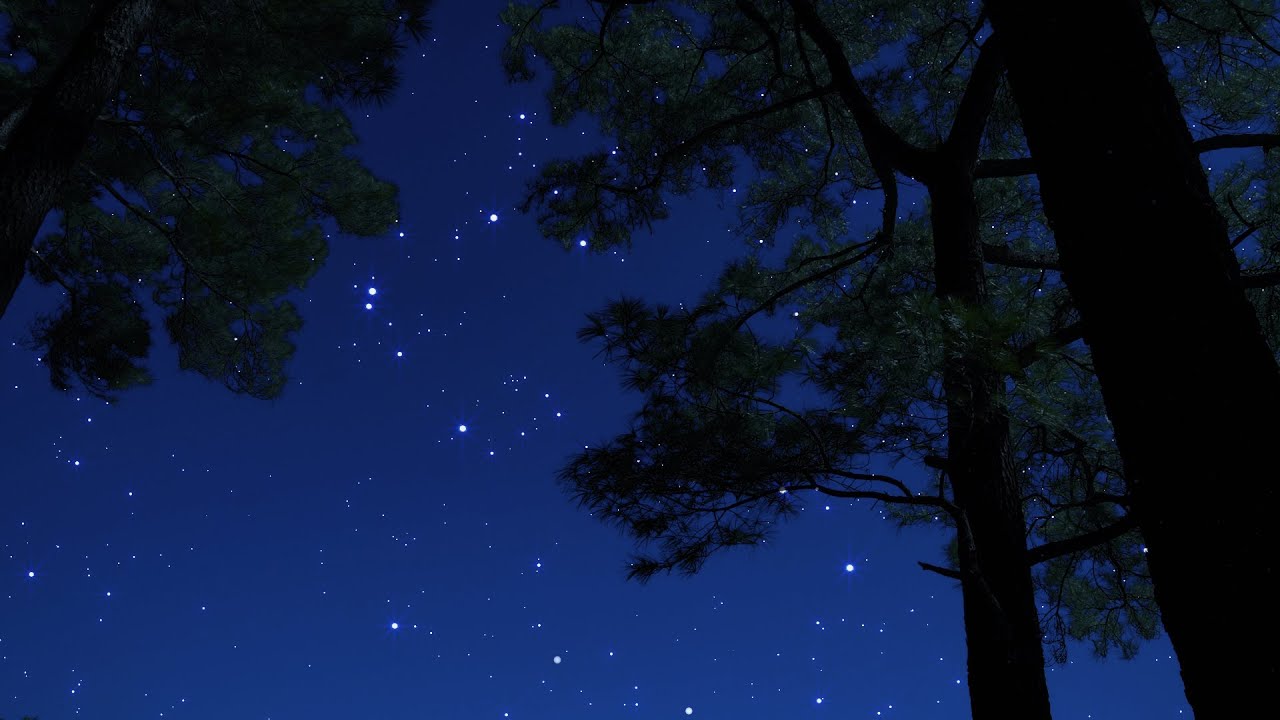 Crickets & Owl Under the Starry Night | Relaxing Nature Ambience for Sleep & Relaxation | 10 Hours