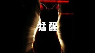 201511 猛醒21207