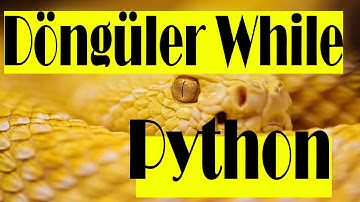 #17  Python Döngüler-1 While döngüsü