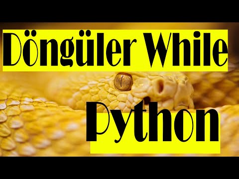 #17 Python Döngüler-1