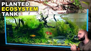 Aquascape Tutorial: EPIC 4ft NO WATER CHANGE Ecosystem Aquarium (How To: Step By Step Guide)
