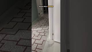 Sonuna kadar izle 😻😸🧿#keşfet #cat #keşfetteyiz #kedi