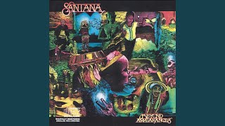 Video thumbnail of "Santana - Right Now"