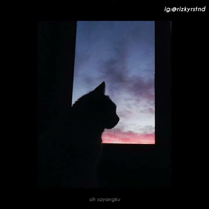 STORY WA LAGU JANGAN LUPAKAN AKU BIKIN BAPER !! VIRAL TERBARU 2021