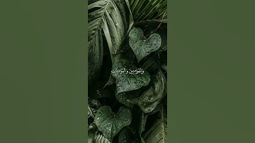 تلاوة خاشعة _ سورة نوح