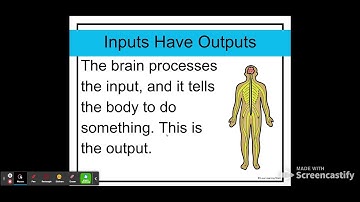 Bonus Lesson : Human and Animal Senses - Google Slides 4th Grade NGSS