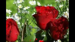 AS ROSAS NÃO FALAM  -  FAGNER - (1978)