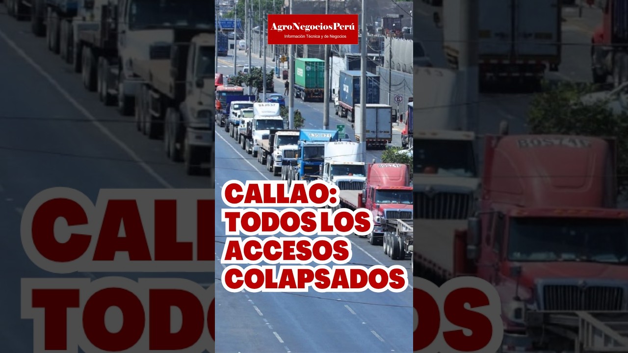 ¿QUIÉN ARREGLA ESTE CAOS?