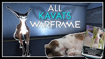 All Kavat Types of Warframe - 2025 Showcase - Abilities & Weapons