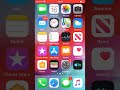 Review the iPhone 6 