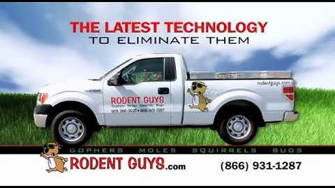 Rodent Guys Gopher Control Riverside | Los Angeles | Ventura | Orange | San Bernardino | Removal