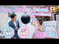 Baby Gender Reveal เฉลยเพศน้องงาดำ! สมาชิกใหม่บ้าน BeamSensei びーむと井坂の子は…男の子?女の子?#ลูกครึ่งไทยญี่ปุ่น
