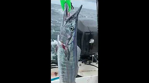 Oil Rig Wahoo Port O'Connor