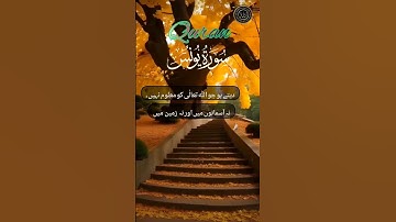 سورة يونس أيت 17-18 urdu_translation