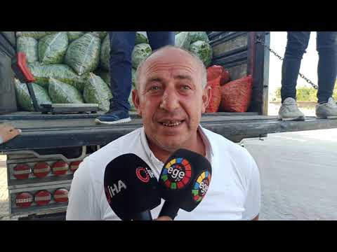Taze Fasulye Fiyatı