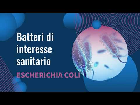 Video: Quali sono i batteri più comuni che si trovano nell'acqua?