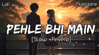 Pehle Bhi Main (Slow + Reverb) | Vishal Mishra | Animal | Musiczone