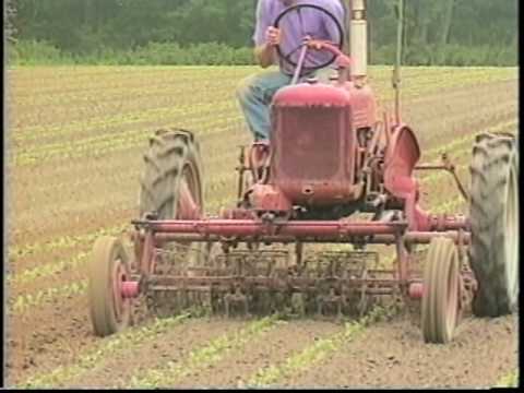 Weed-Control Machines - Harvest Farm, Whately, MA