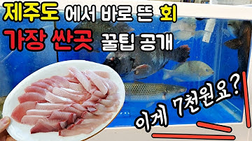 제주도 동문시장에서 갓잡은 활어 회 반값에 싸게 구매하는 방법 Jeju  Fish Market