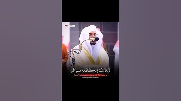 وَإِذَآ أَنۡعَمۡنَا عَلَى ٱلۡإِنسَٰنِ أَعۡرَضَ وَنَـَٔا بِجَانِبِهِ~تلاوة هادئة للشيخ ياسر الدوسري