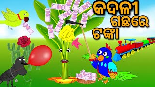 Kadali Gachare Tanka Tuni Chidiya Bird Story Odia gapa fairytale in odia cartoon moral story