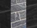 my fifth skateboard video 📷 at home ☠️💀☠️⁉️