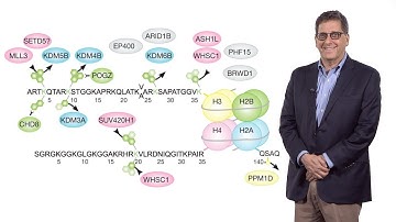 Bench to Bedside: Autism Spectrum Disorder, part 2 - From Genes to Pathology - Matthew State (UCSF)