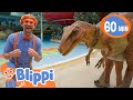 Blippi Meets Stanley The Dinosaur At The Fun Play Park | Educational Videos for Kids