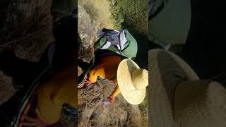 Peregrinación a pie san Juan Diego El Limón Totalco -México