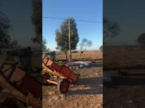 شوفو غير هاد شتيوى لي طاحة تباركلاه نودا ربيع