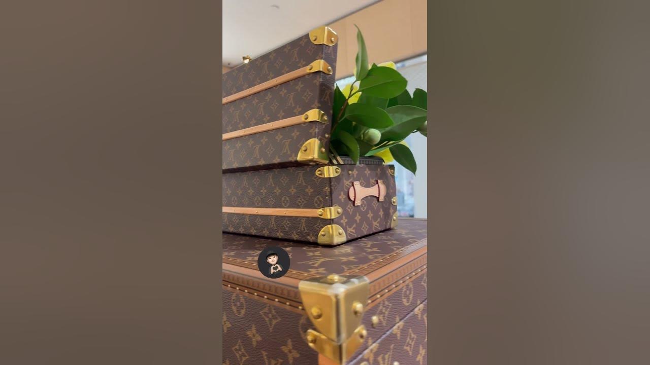 REVEALING MY LV MALLE FLEURS TRUNK - how I chose it, inclusions