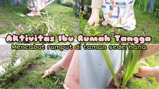 Aktivitas Ibu Rumah Tangga Di Hari Minggu Mencabut Rumput Di Taman Sederhana Taman Didepan Rumah