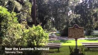 The Tammany Trace: Exploring Slidell and Lacombe