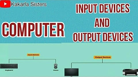 Input, Output and Storage Devices in Computer /Computers / ICT / CBSE / Information Technology