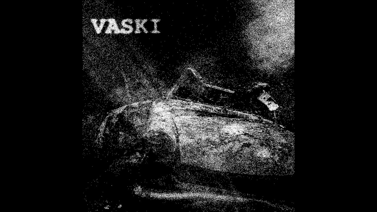 VASKI - synthetic organism (SINGLE)