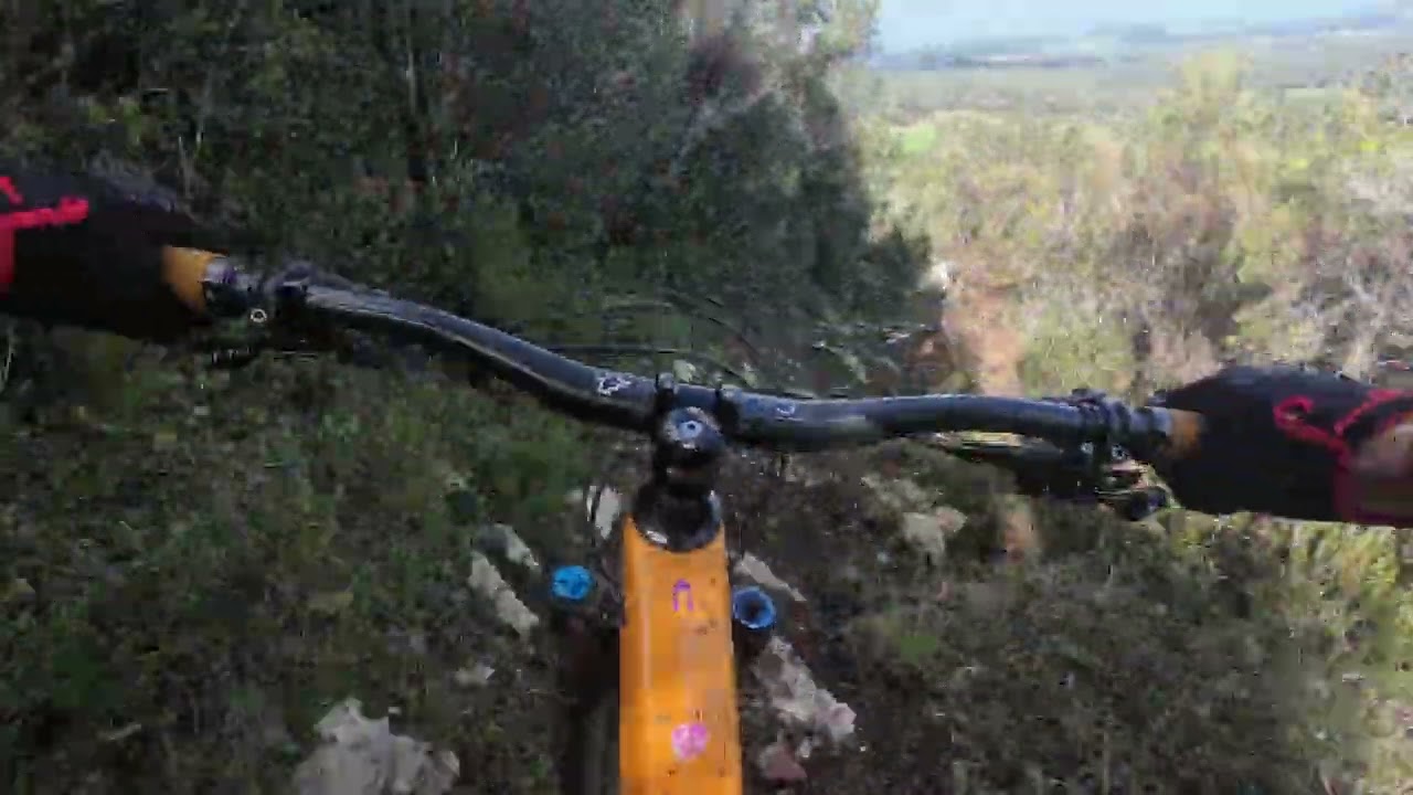 Verde 2026 na roda do Sauro