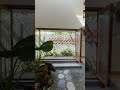 THE LINEAR LOFT #home #homedecor #trending #homedesign #reels #interiordesign # architecture #villa